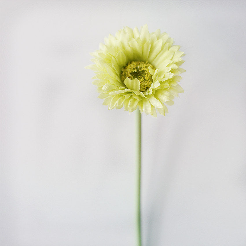 10 Stück 20cm Kunstblumen Afrikadaisy Stängel  Gerbera Bouquet Frühling - Blumenarrangements für Tischdekoration