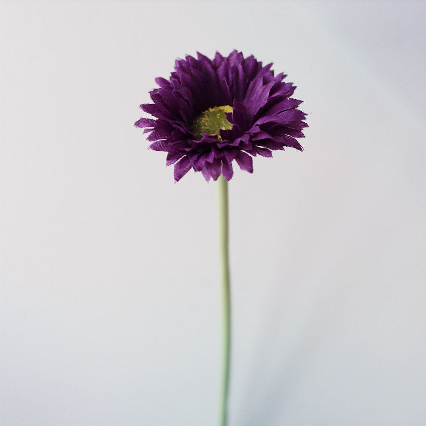 10 Stück 20cm Kunstblumen Afrikadaisy Stängel  Gerbera Bouquet Frühling - Blumenarrangements für Tischdekoration