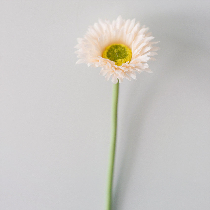 10 Stück 20cm Kunstblumen Afrikadaisy Stängel  Gerbera Bouquet Frühling - Blumenarrangements für Tischdekoration