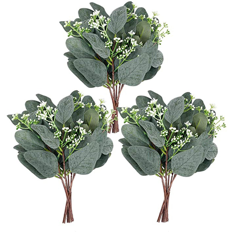 20 Stück 30 cm hohes Pappel-Eukalyptus-Bukett mit Samenkörnern