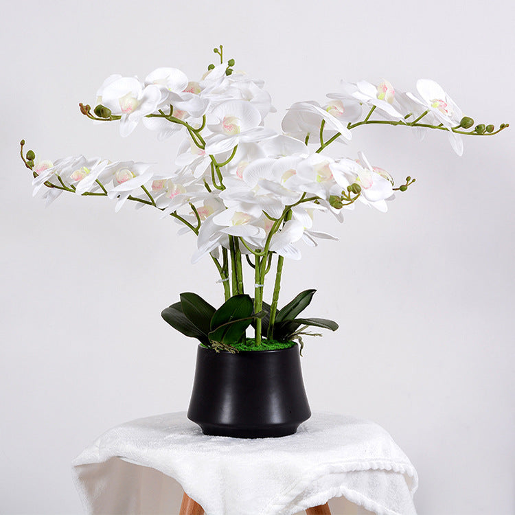 56cm Kunstblume Orchidee groß in Hochglanz-Keramiktopf Orchideen künstlich Kunstblumen wie echt künstliche Orchideen im Topf