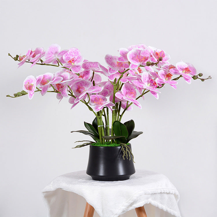 56cm Kunstblume Orchidee groß in Hochglanz-Keramiktopf Orchideen künstlich Kunstblumen wie echt künstliche Orchideen im Topf