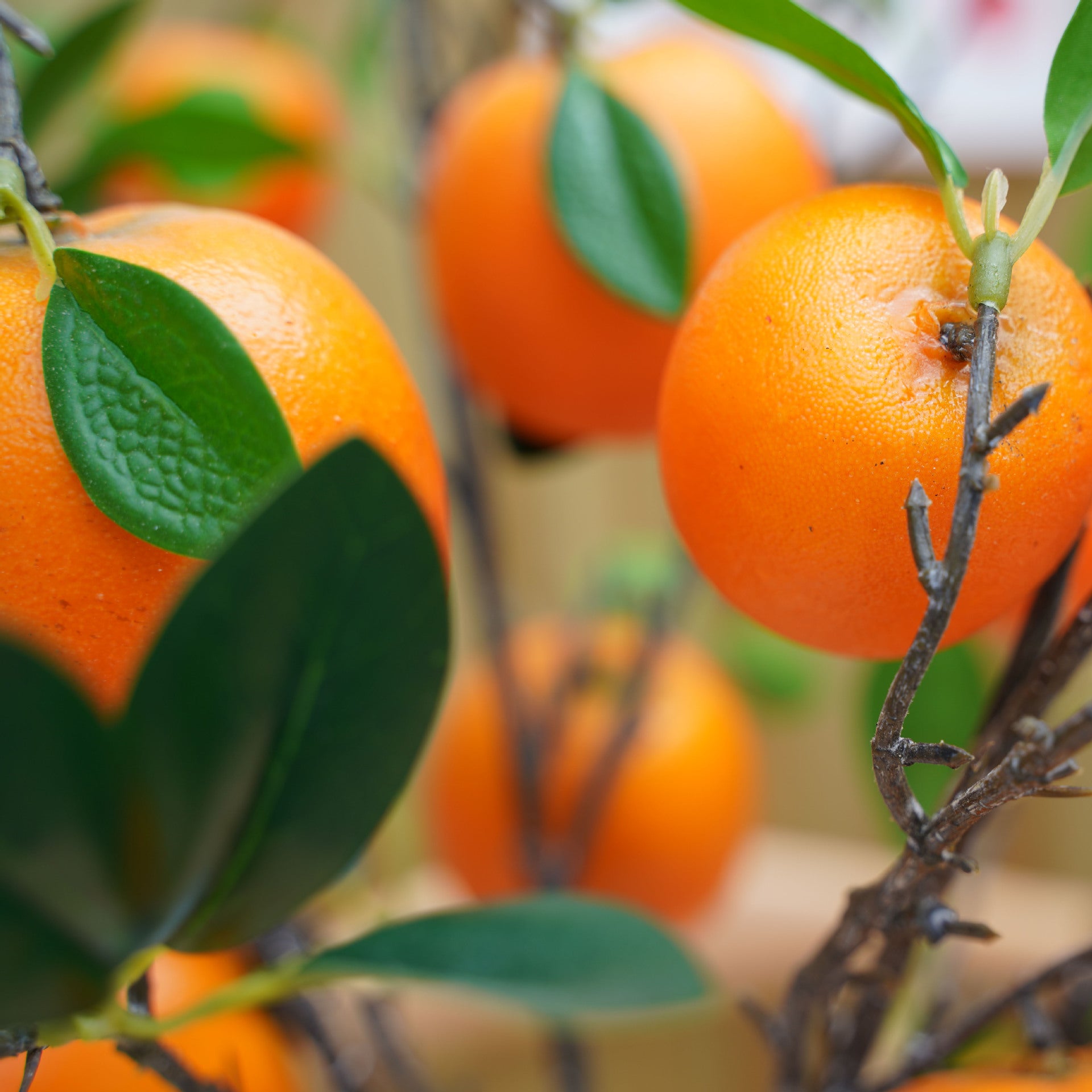 Extra hoch 94 cm Künstliche Äste mit Mandarinen Perfect für Oktoberfest & Hausdekoration