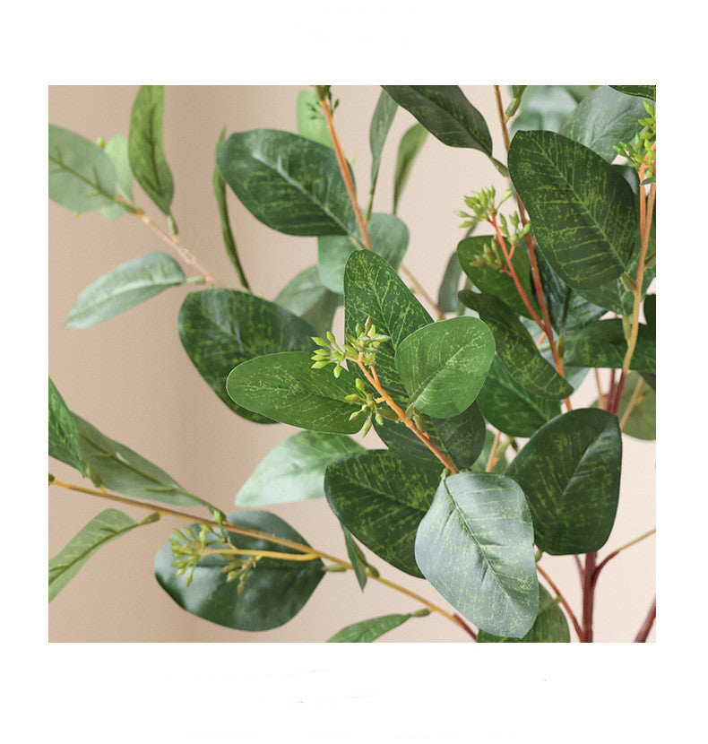 60 cm lange Pappel-Eukalyptus-Zweige – Für Blumenarrangements