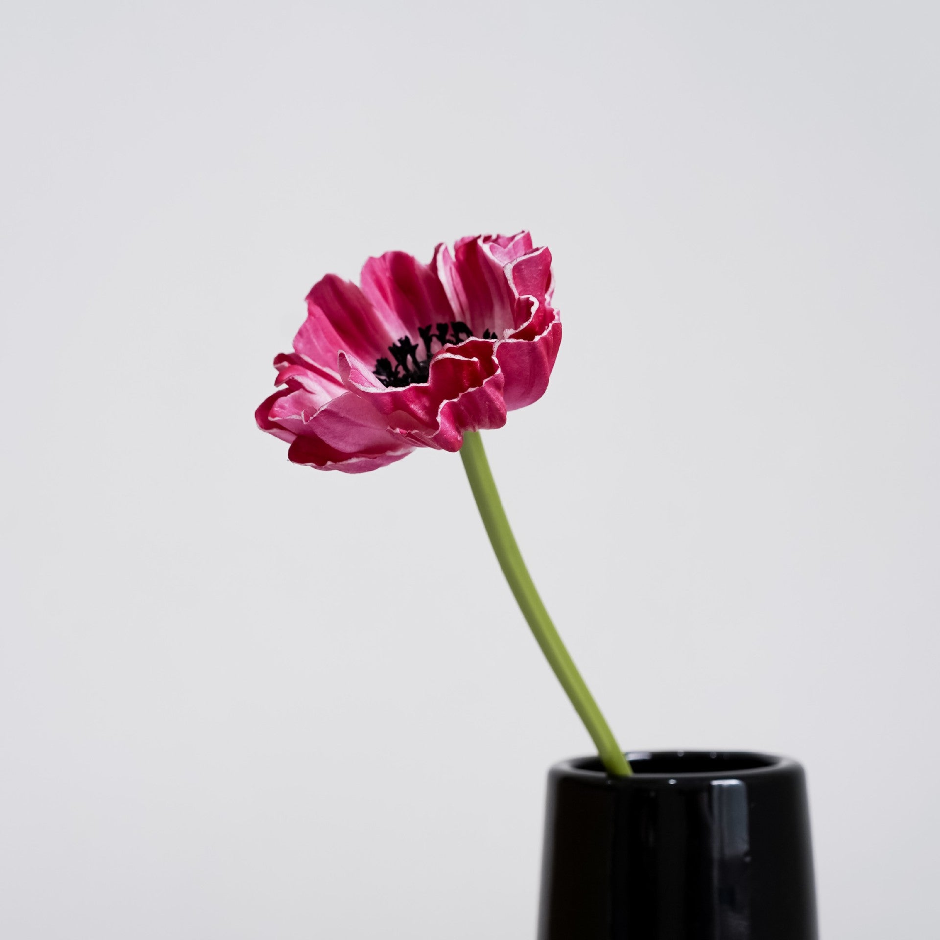 12 Stück 34 cm lange künstliche Mohnblumenstängel aus PU – mit echthaftem Touch