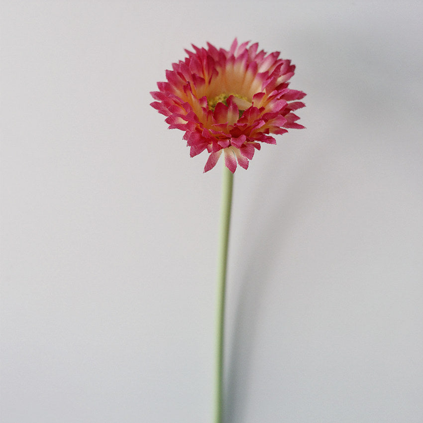 10 Stück 20cm Kunstblumen Afrikadaisy Stängel  Gerbera Bouquet Frühling - Blumenarrangements für Tischdekoration