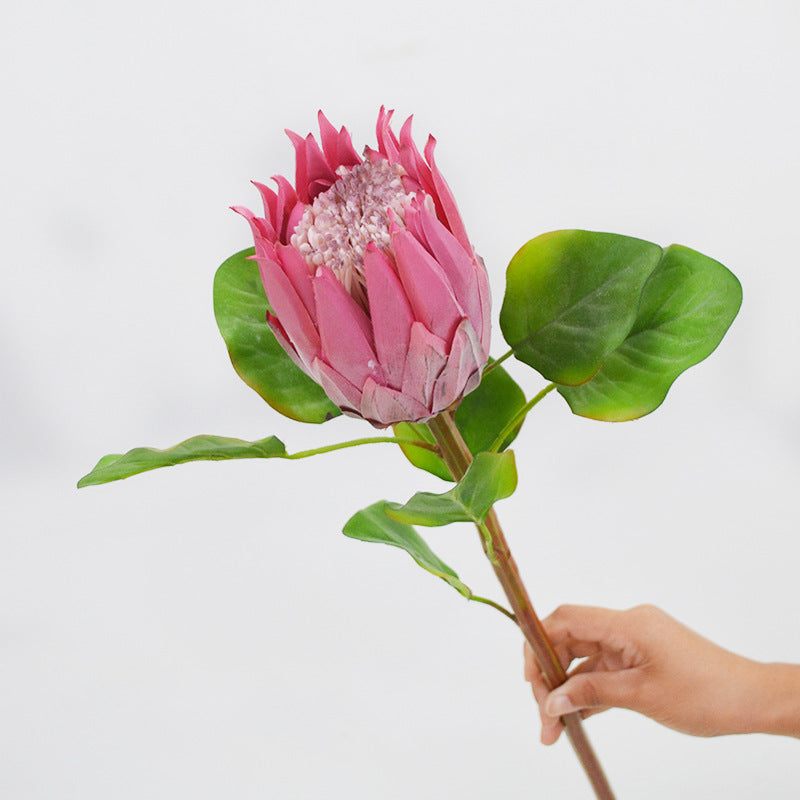 Künstliche Protea Königskerze, einzelner Stängel mit 1 Blüte, 65 cm hoch, aus Seidenstoff, für Hochzeiten und Innendekoration