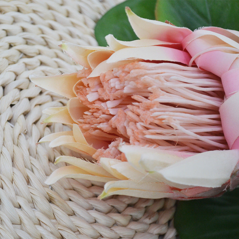Künstliche Protea Königskerze, einzelner Stängel mit 1 Blüte, 65 cm hoch, aus Seidenstoff, für Hochzeiten und Innendekoration