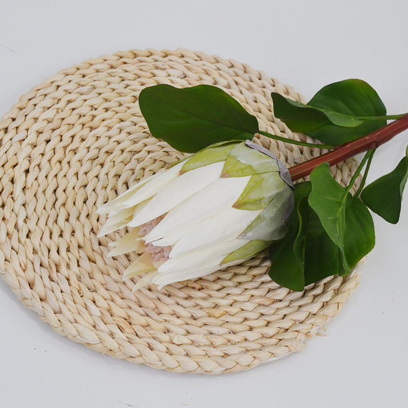 Künstliche Protea Königskerze, einzelner Stängel mit 1 Blüte, 65 cm hoch, aus Seidenstoff, für Hochzeiten und Innendekoration