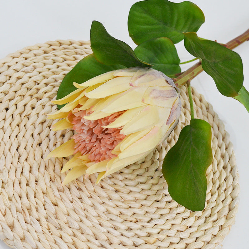 Künstliche Protea Königskerze, einzelner Stängel mit 1 Blüte, 65 cm hoch, aus Seidenstoff, für Hochzeiten und Innendekoration