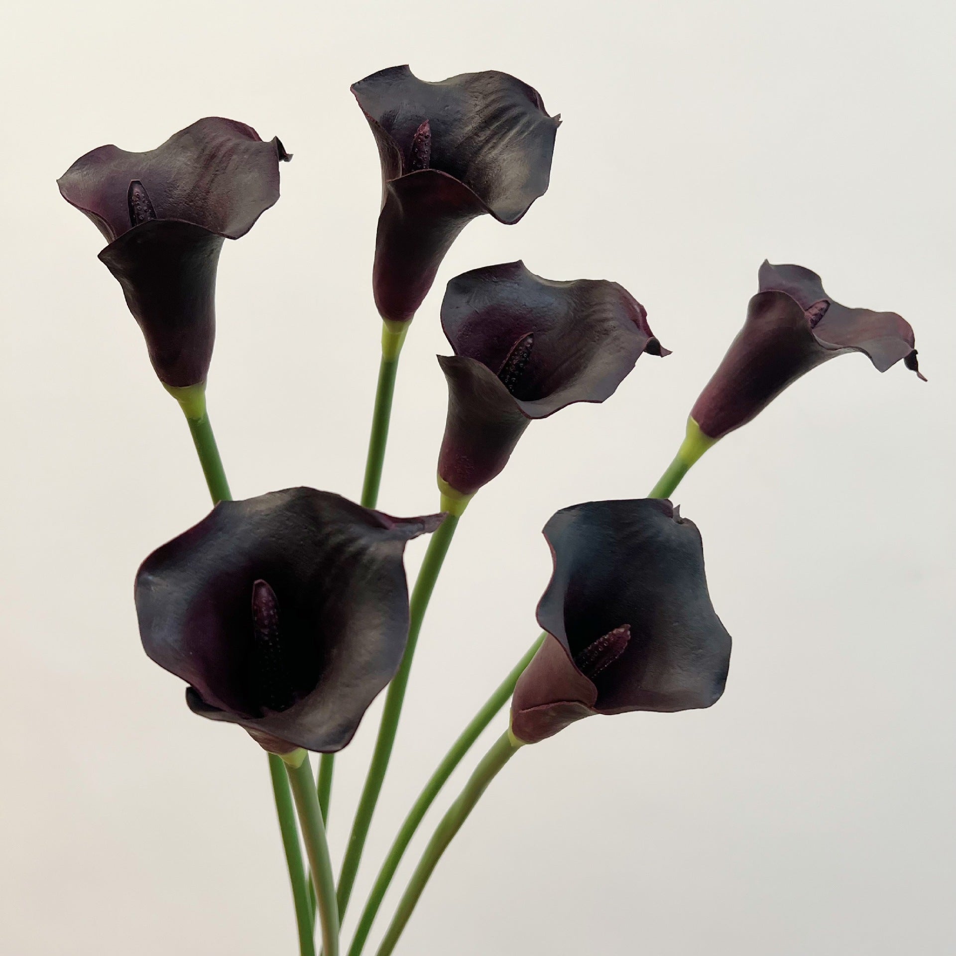 6er Set Calla Lilien Kunstblumen, 66cm Real Touch, Hochwertige Calla in Schwarz-Lila, für Gothic Deko, Halloween, Vase & elegante Arrangements