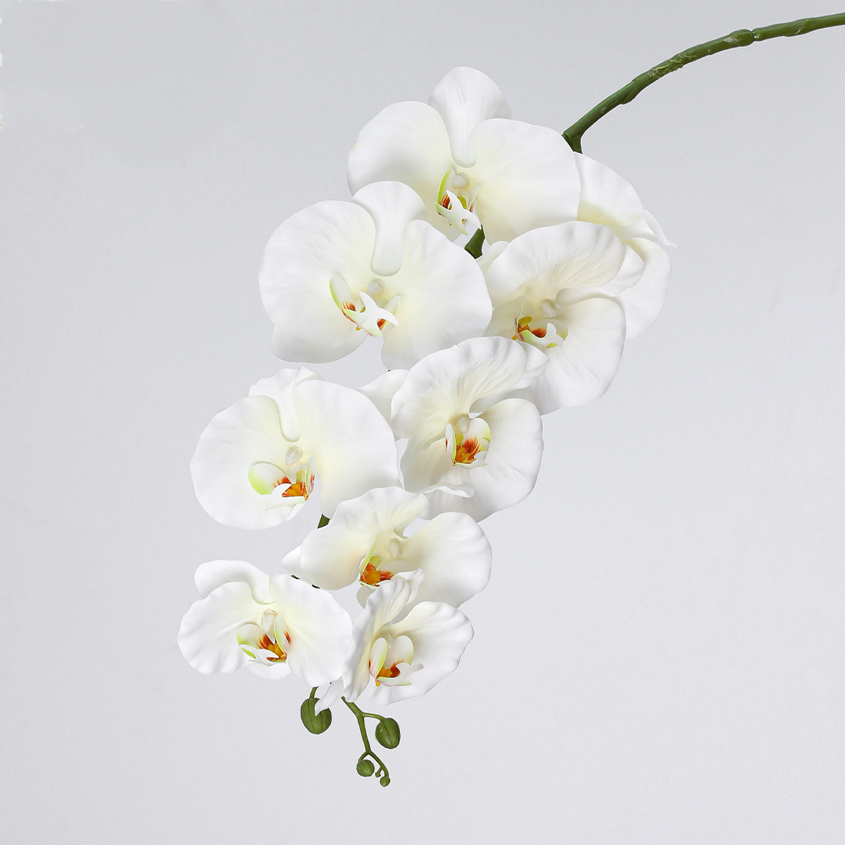Phalaenopsis Orchidee künstlich 2er-Set, 102 cm langer Orchideenzweig – kunstblumenshop
