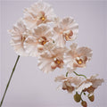 Phalaenopsis Orchidee künstlich 98 cm | 9 Blüten | Real-Touch | Kunstblume für Dekoration, Hochzeit & Floristik