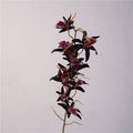 Australische Dendrobium Orchidee, 81 cm, täuschend echt, perfekte Tischdekoration, Zuhause, Hochzeit, Café, Restaurant