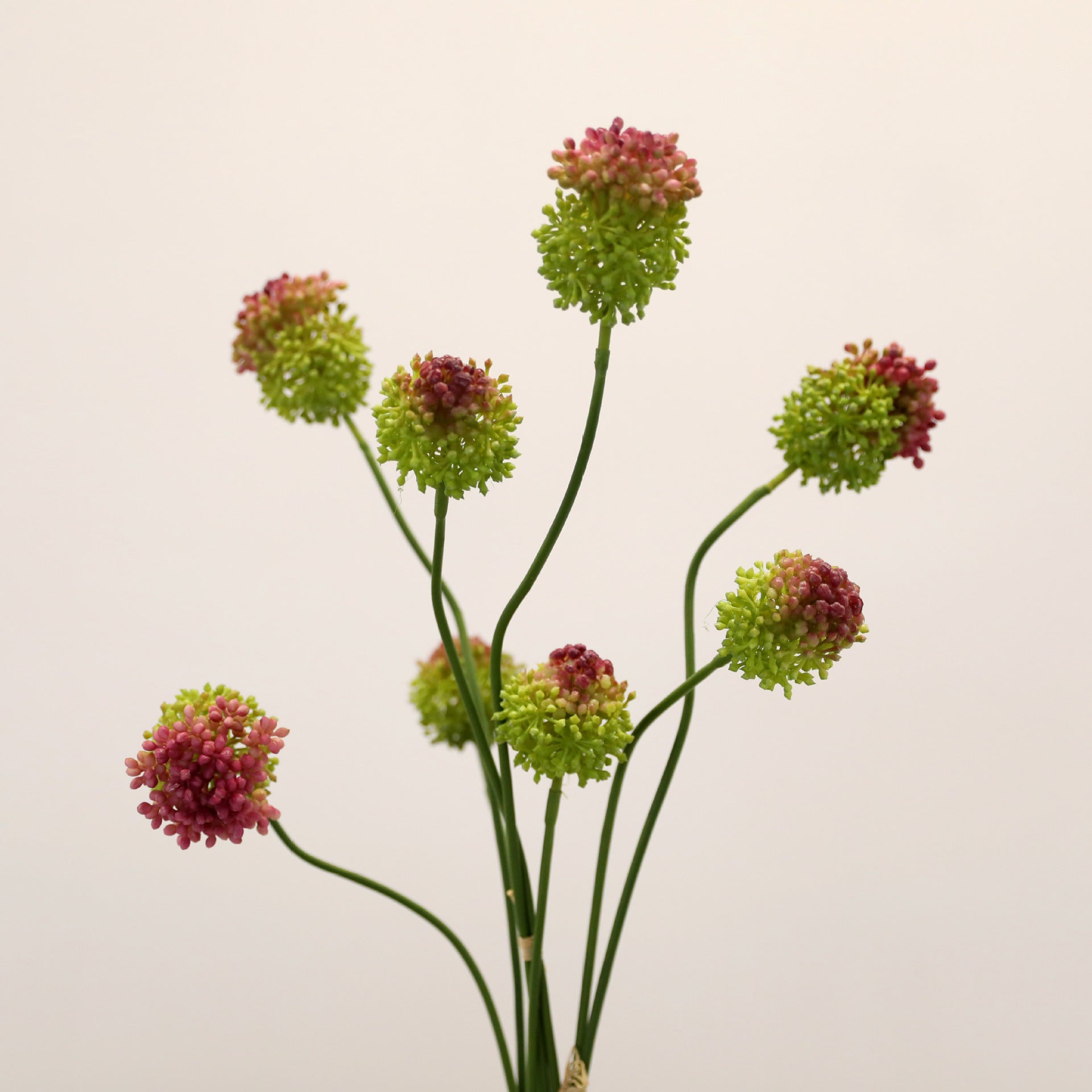Allium Kunstblume 2er Set, 70cm Zierlauch Stiel, Naturgetreue Pusteblume, Hochwertige Kunstpflanze für Vase, Hochzeit, Floristik & Deko