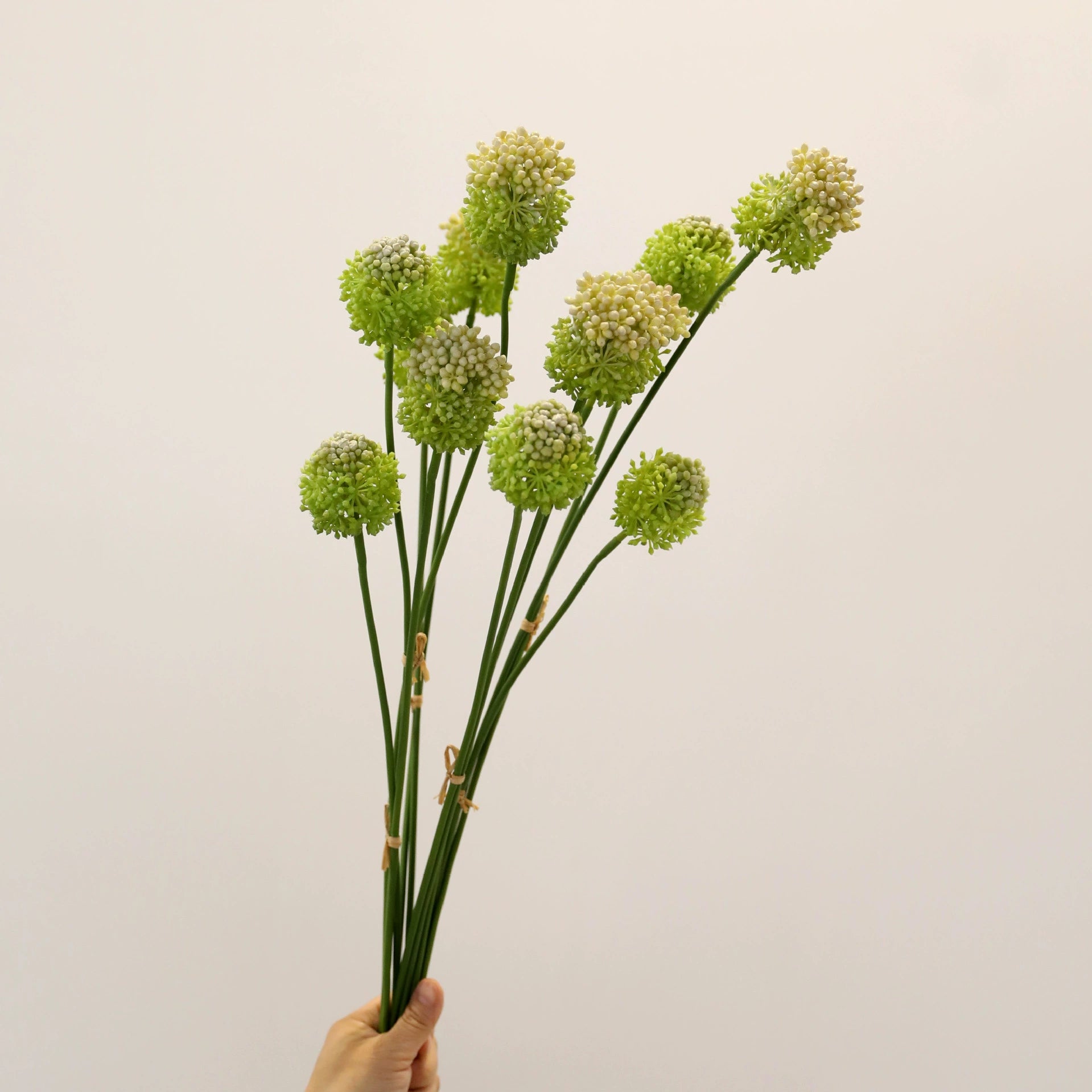 Allium Kunstblume 2er Set, 70cm Zierlauch Stiel, Naturgetreue Pusteblume, Hochwertige Kunstpflanze für Vase, Hochzeit, Floristik & Deko