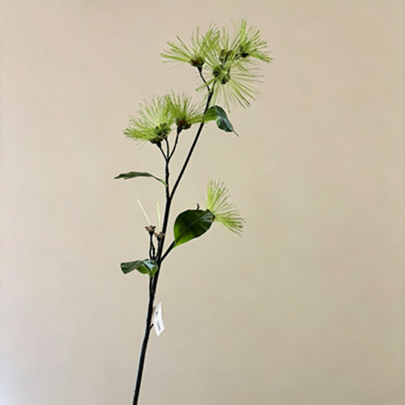 Kunstblume Seidenbaum 97 cm, Täuschend Echter Albizia Zweig in Pompom-Optik, Langlebige Seidenakazie für Bodenvase, Hochzeit, Gastronomie & Floristik