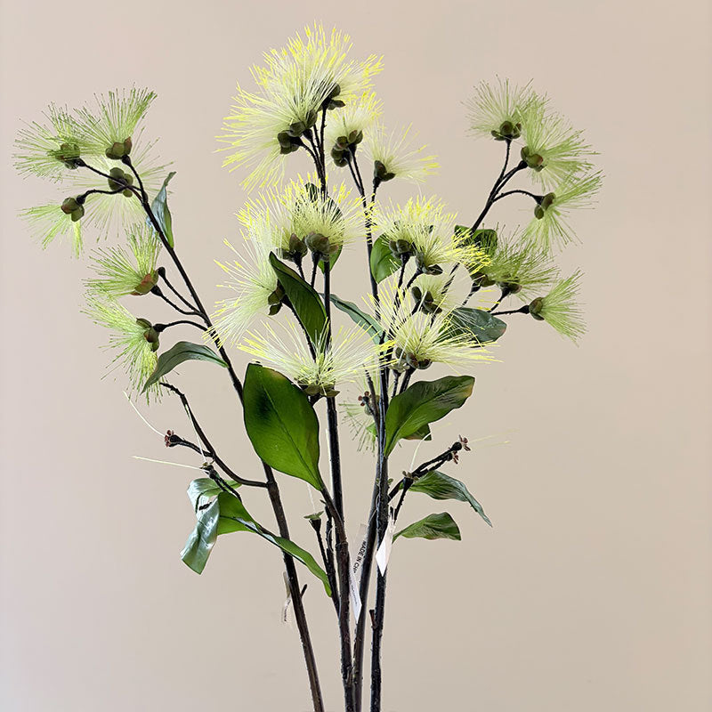 Kunstblume Seidenbaum 97 cm, Täuschend Echter Albizia Zweig in Pompom-Optik, Langlebige Seidenakazie für Bodenvase, Hochzeit, Gastronomie & Floristik