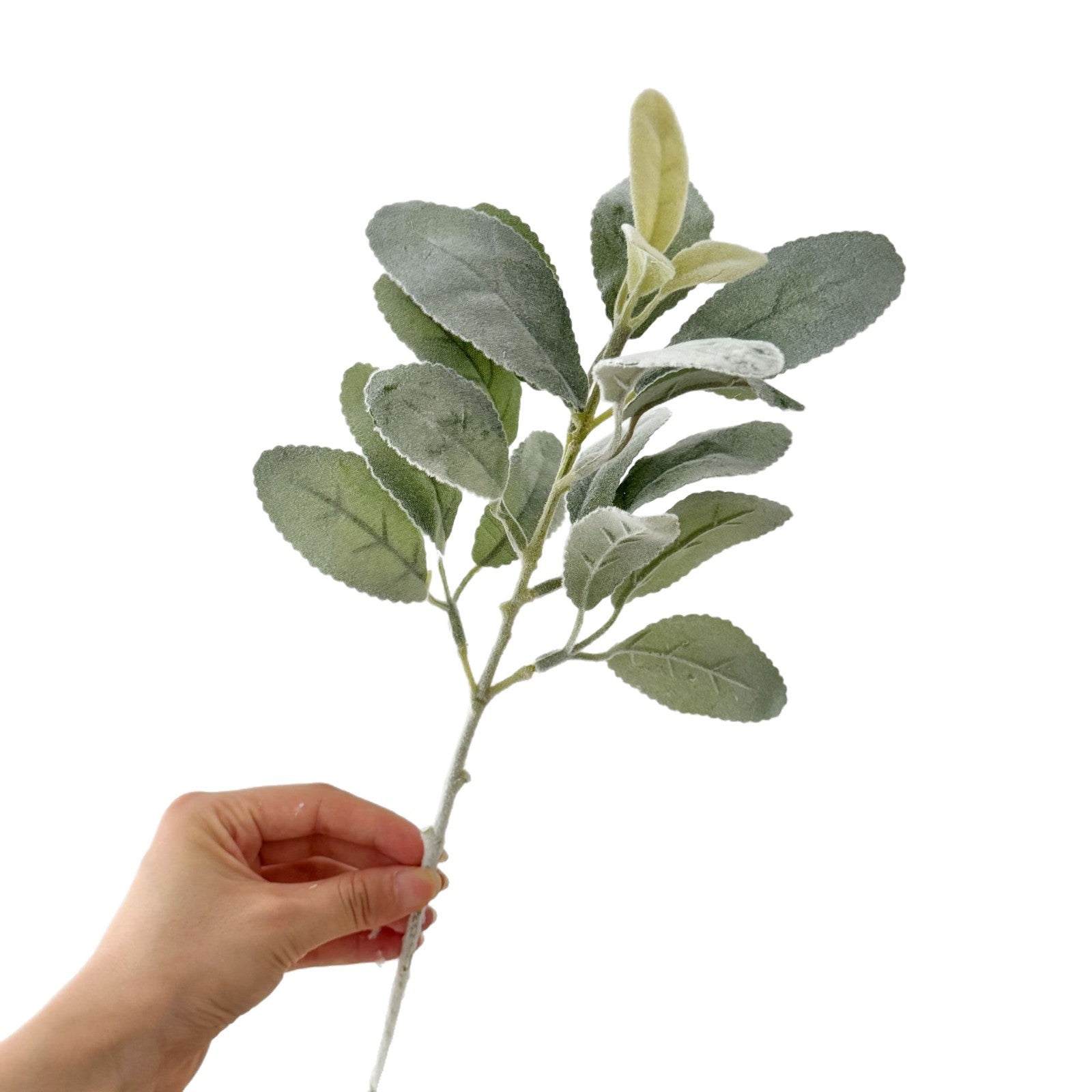 Woll-Ziest Kunstpflanze 37 cm, Beflockter Deko-Zweig, Täuschend Echter Hasenohr-Stiel für Vase, Hochzeit & Skandi Deko, Realistisch & Pflegefrei