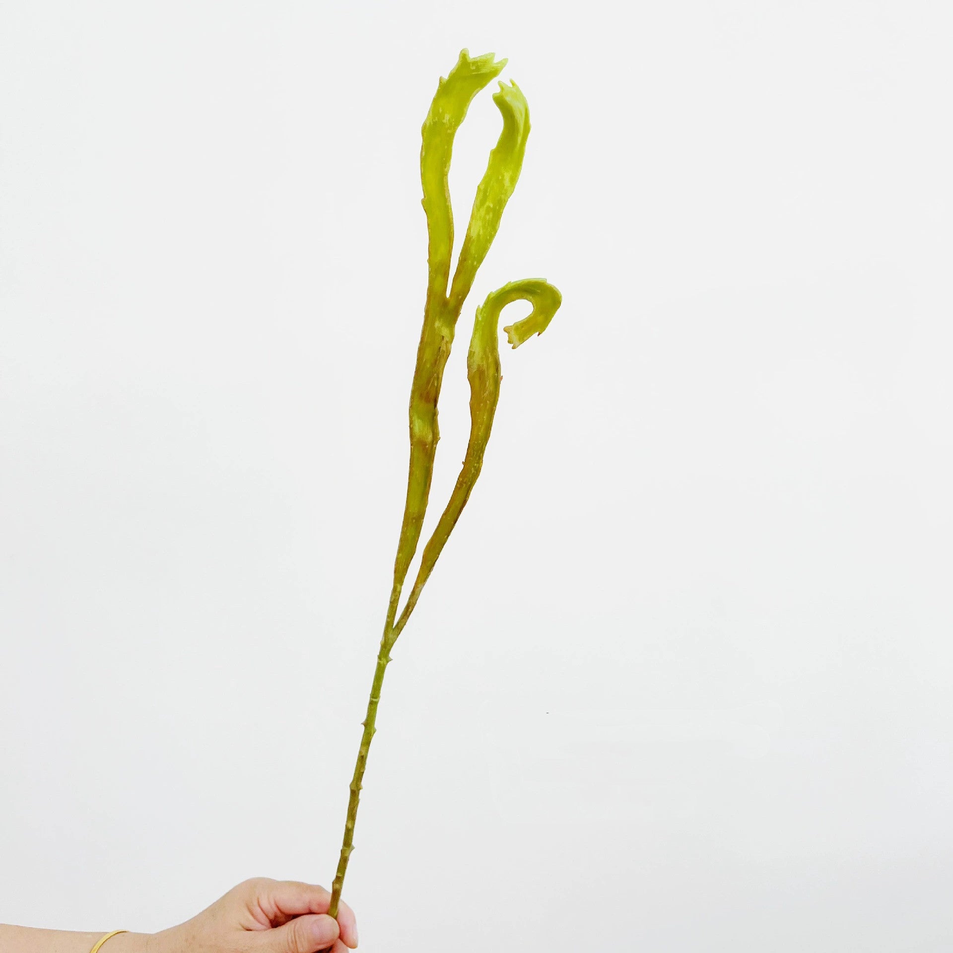 Künstliche Pflanze 60 cm, realistisch, pflegeleicht, ideal für Hochzeiten, Cafés, und Innendekoration