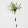 Künstliches Papyrus Ziergras (63/82cm), realistischer Allium Deko-Zweig, Kunstpflanze für Bodenvase, Hochzeit, Event & langlebige Raumdeko