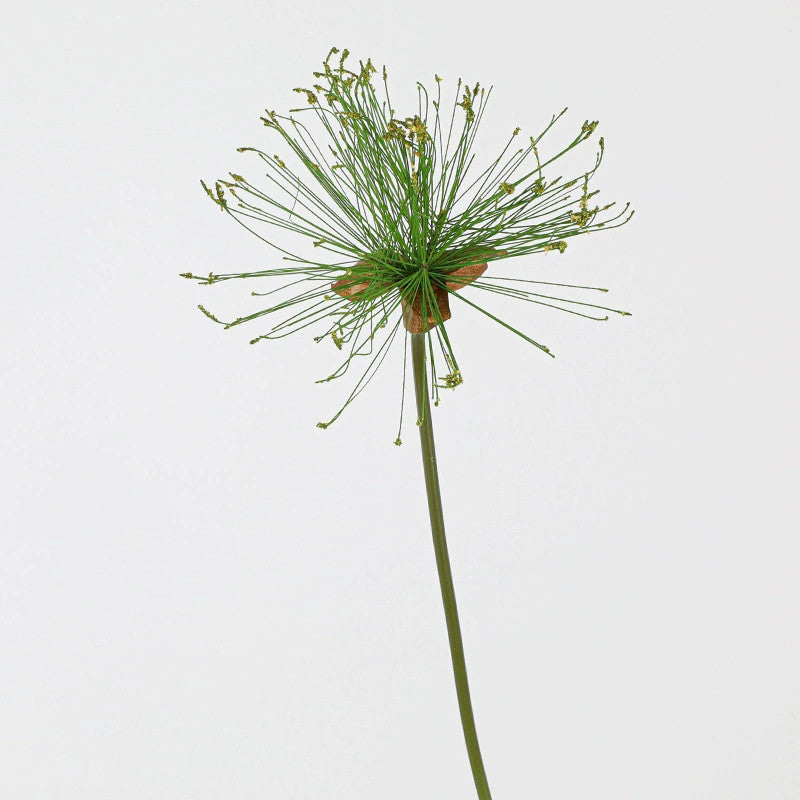 Künstliches Papyrus Ziergras (63/82cm), realistischer Allium Deko-Zweig, Kunstpflanze für Bodenvase, Hochzeit, Event & langlebige Raumdeko