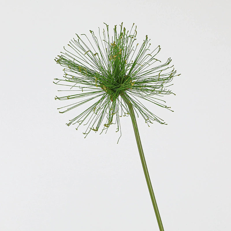 Künstliches Papyrus Ziergras (63/82cm), realistischer Allium Deko-Zweig, Kunstpflanze für Bodenvase, Hochzeit, Event & langlebige Raumdeko