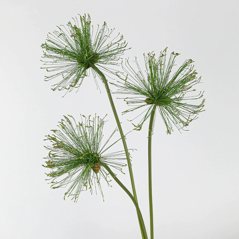 Künstliches Papyrus Ziergras (63/82cm), realistischer Allium Deko-Zweig, Kunstpflanze für Bodenvase, Hochzeit, Event & langlebige Raumdeko