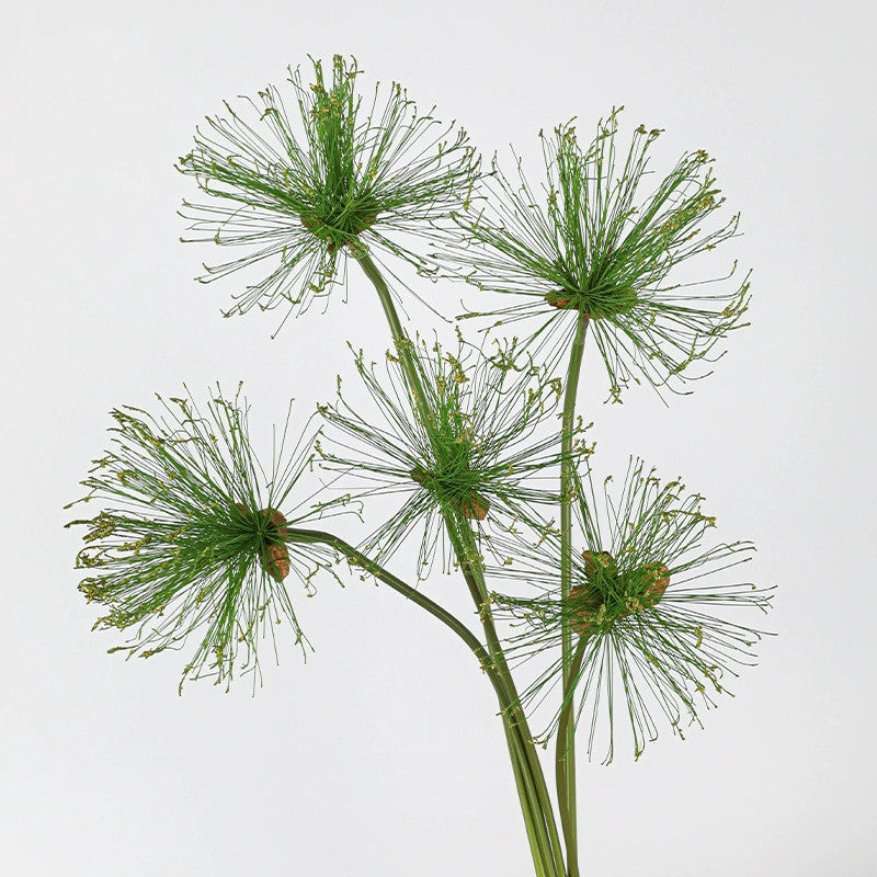 Künstliches Papyrus Ziergras (63/82cm), realistischer Allium Deko-Zweig, Kunstpflanze für Bodenvase, Hochzeit, Event & langlebige Raumdeko