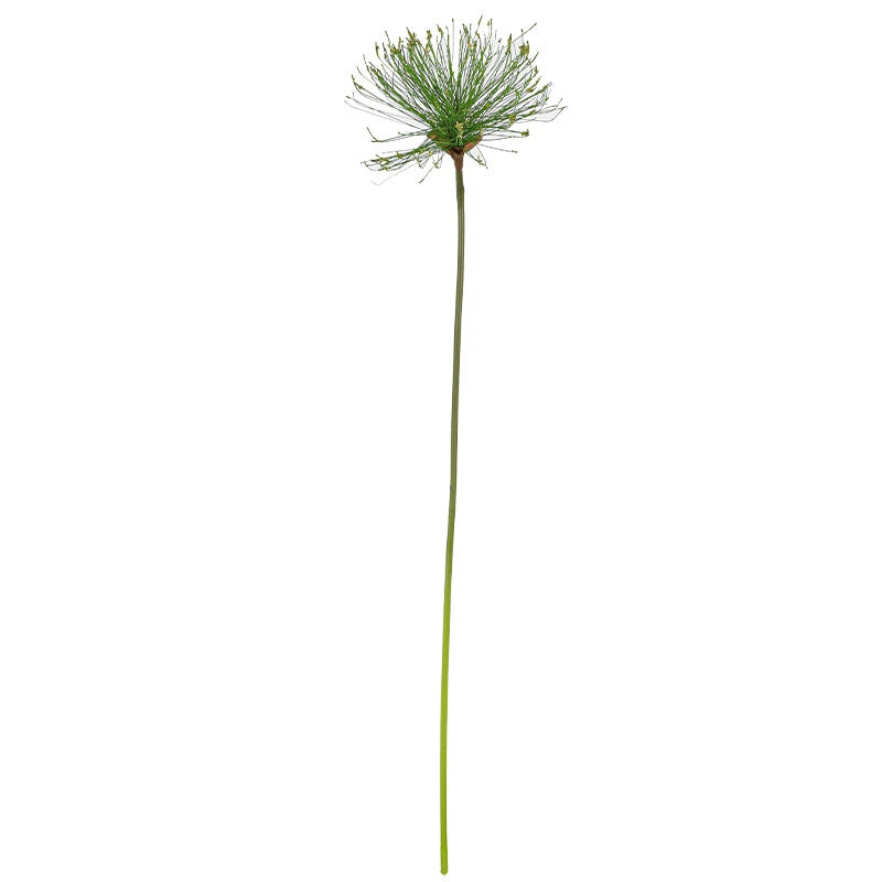 Künstliches Papyrus Ziergras (63/82cm), realistischer Allium Deko-Zweig, Kunstpflanze für Bodenvase, Hochzeit, Event & langlebige Raumdeko