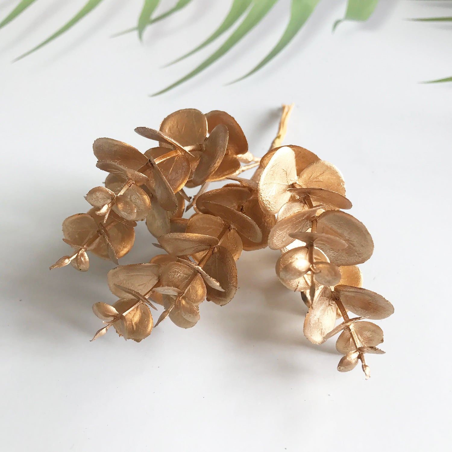 Künstliche Eukalyptusblätter 14,5 cm, Realistische Deko Zweige in Weiß-Grün, Ideal für Vasen, DIY Gestecke, Kränze & Hochzeitsdeko
