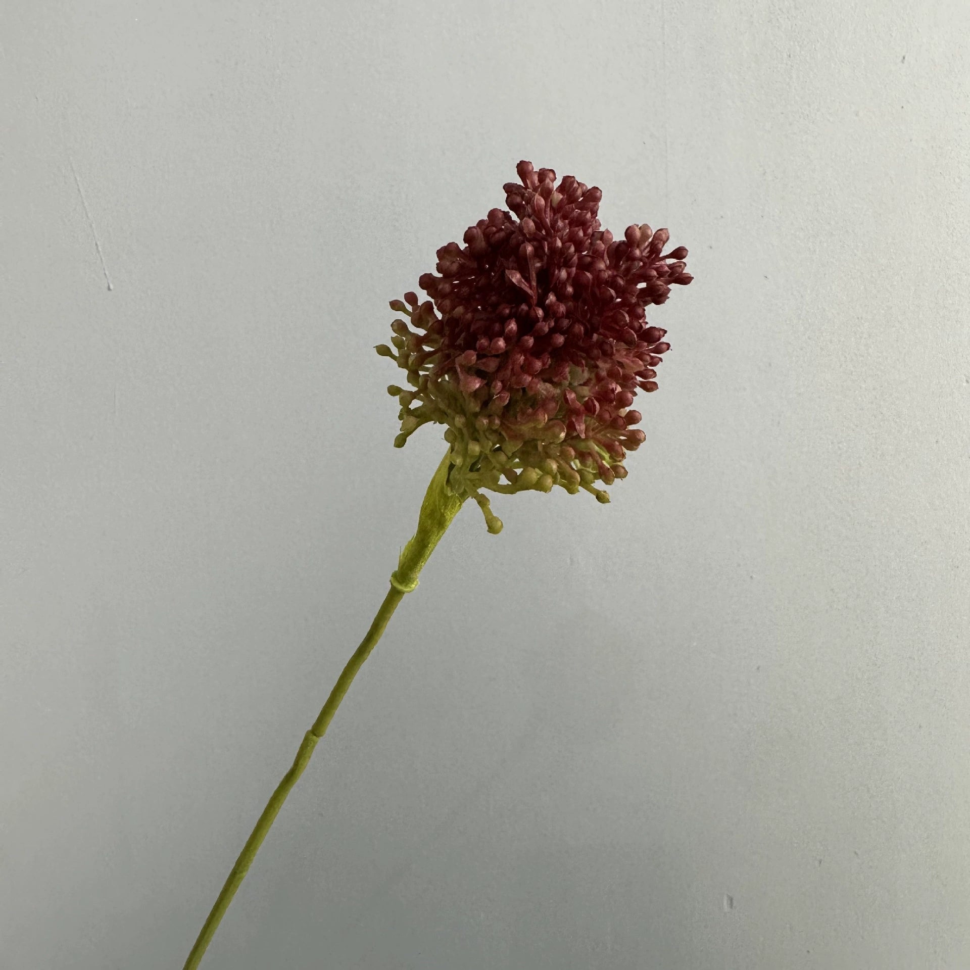 Künstlicher Allium Stiel 64 cm, Realistischer Zierlauch Dekozweig, Hochwertige Kunstblume für Vase, Hochzeit & Floristik, Langlebige Deko