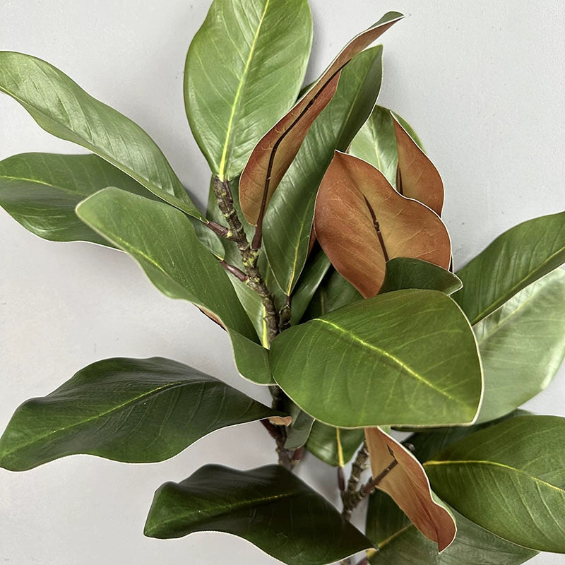 Künstlicher Magnolienzweig 56 cm, Täuschend Echte Blätter, Dekozweig für Vase, Floristik, Hochzeit, Mengenrabatt für B2B