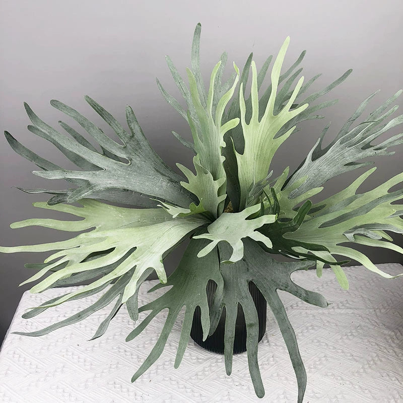 Künstliche Sukkulente mit Geweihblättern, 30 cm, realistische Optik, ideal für Hochzeiten, Cafés, Wohnräume, langlebig, pflegeleicht