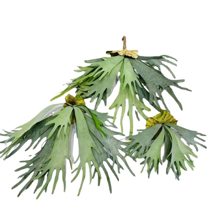 Künstliche Sukkulente mit Geweihblättern, 30 cm, realistische Optik, ideal für Hochzeiten, Cafés, Wohnräume, langlebig, pflegeleicht
