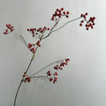 Künstliche Winterbeeren-Zweigdekoration, 110 cm, Real-Touch, für Hochzeiten, Floristik, Wohnaccessoires, Hotel-Dekoration