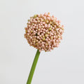 Künstliche Schneeballblume, 53 cm, Real-Touch,  für Hochzeit, Home-Dekor, Geschäftseinrichtung, ohne Topf