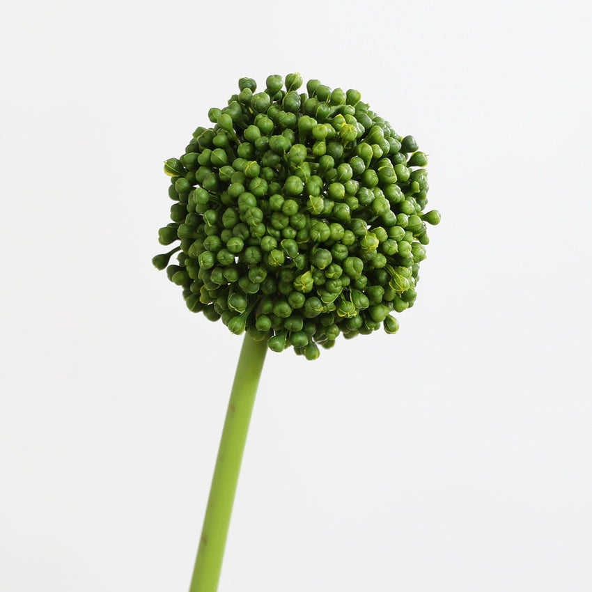 Künstliche Schneeballblume, 53 cm, Real-Touch,  für Hochzeit, Home-Dekor, Geschäftseinrichtung, ohne Topf