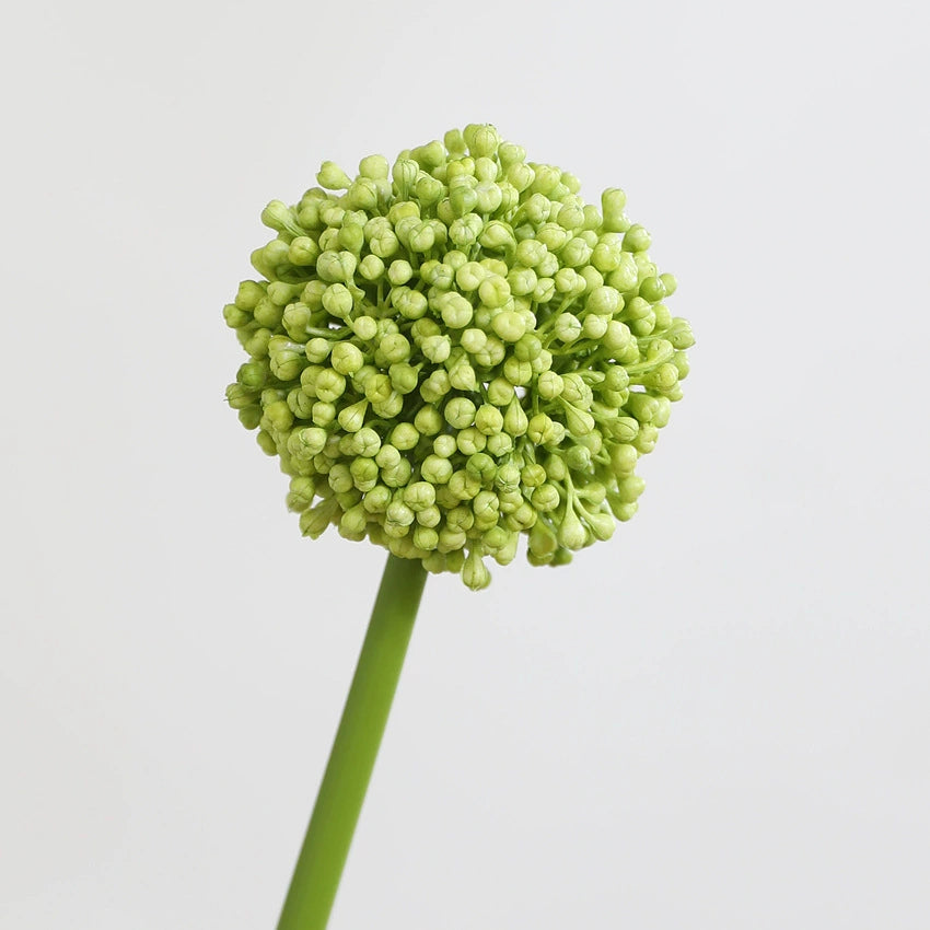 Künstliche Schneeballblume, 53 cm, Real-Touch,  für Hochzeit, Home-Dekor, Geschäftseinrichtung, ohne Topf