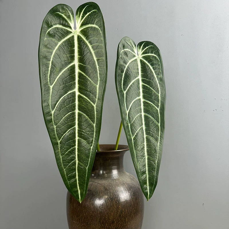 2 Stück Anthurium clarinervium Kunstpflanze, 88 cm Länge, Real-Touch Blätter, für Vasen, Home Decor, Hochzeiten, Einzelhandel