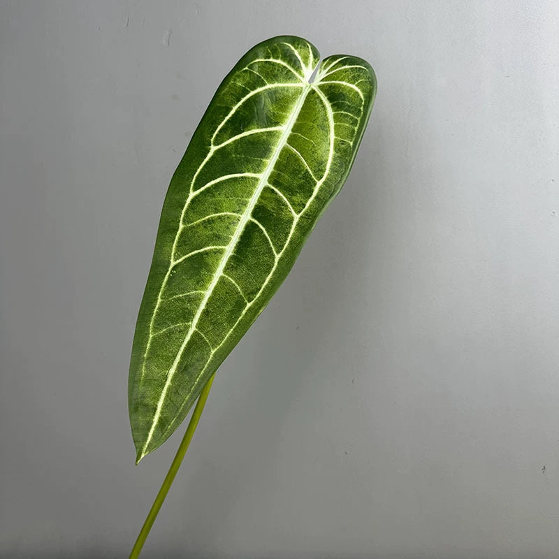 2 Stück Anthurium clarinervium Kunstpflanze, 88 cm Länge, Real-Touch Blätter, für Vasen, Home Decor, Hochzeiten, Einzelhandel