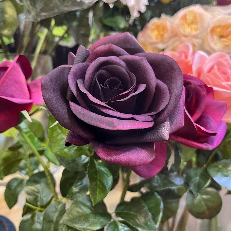 Real-Touch Kunstrose (Carola), 66 cm lang, 10 cm Blütendurchmesser - Hochwertige künstliche Rose für Hochzeitsdeko, Haushalt, Einzelhandel und Großhandel