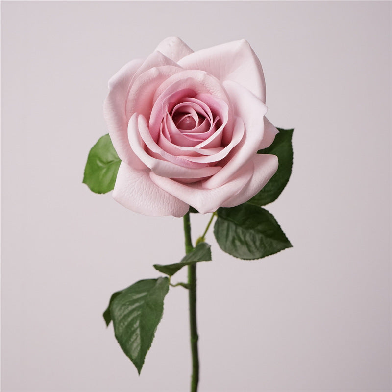 Real-Touch Kunstrose (Carola), 66 cm lang, 10 cm Blütendurchmesser - Hochwertige künstliche Rose für Hochzeitsdeko, Haushalt, Einzelhandel und Großhandel