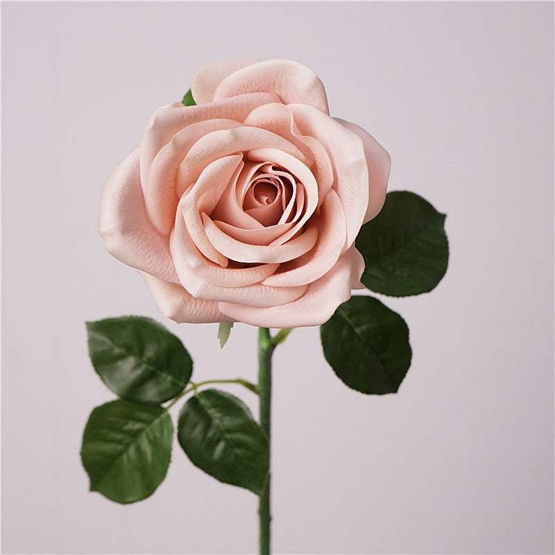 Real-Touch Kunstrose (Carola), 66 cm lang, 10 cm Blütendurchmesser - Hochwertige künstliche Rose für Hochzeitsdeko, Haushalt, Einzelhandel und Großhandel