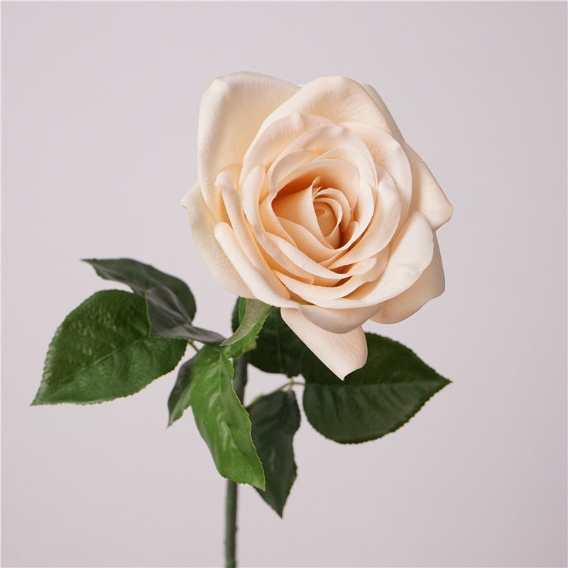 Real-Touch Kunstrose (Carola), 66 cm lang, 10 cm Blütendurchmesser - Hochwertige künstliche Rose für Hochzeitsdeko, Haushalt, Einzelhandel und Großhandel