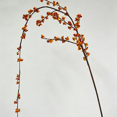 Künstliche Celastrus scandens, 179 cm, Retro-Herbstfarbe, Kunststoff, für Hotels, Events, Wohnkultur