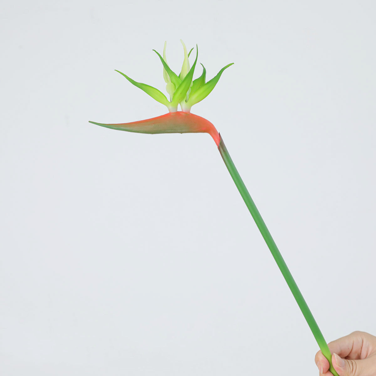 Paradiesvogelblume künstlich, 42 cm, Latex, hochrealistisch für Hochzeit, Hotel, Bürodeko, Innenraum, ohne Topf