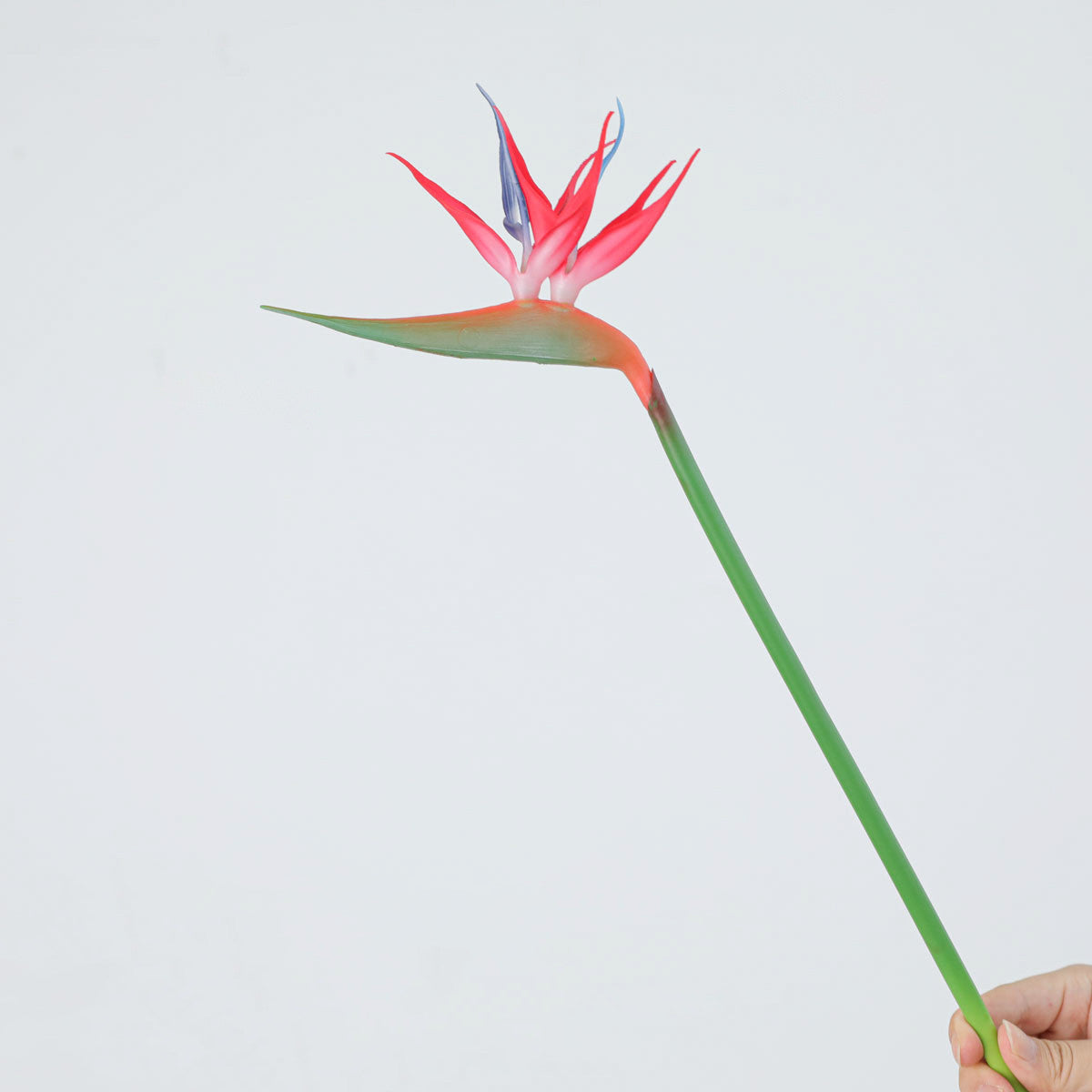 Paradiesvogelblume künstlich, 42 cm, Latex, hochrealistisch für Hochzeit, Hotel, Bürodeko, Innenraum, ohne Topf