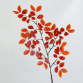 Künstliche Lianenblätter Paulownia 80 cm, ländlich-modern, für Hochzeiten, Schaufenster, Innenraum-Deko, 3 Farben, 32 cm breit, biegbare Stiele
