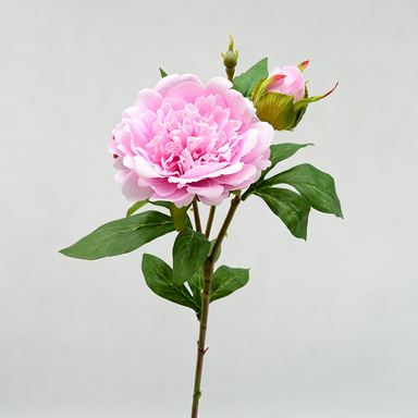 Künstliche Pfingstrose, 67 cm hoch, 2 Blüten, 12 cm Durchmesser, für Wohnraumdekoration, Hochzeiten, Einzelhandel